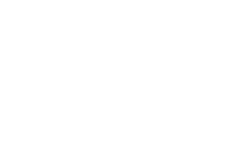 Logo Schrotthandel Fischer weiss