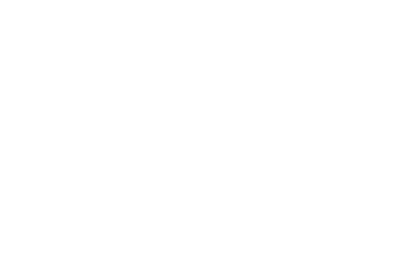 Logo Schrotthandel Fischer weiss
